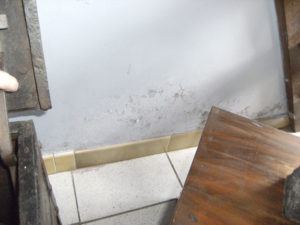 Accechmur - Problèmes d'humidité - Excès de sel